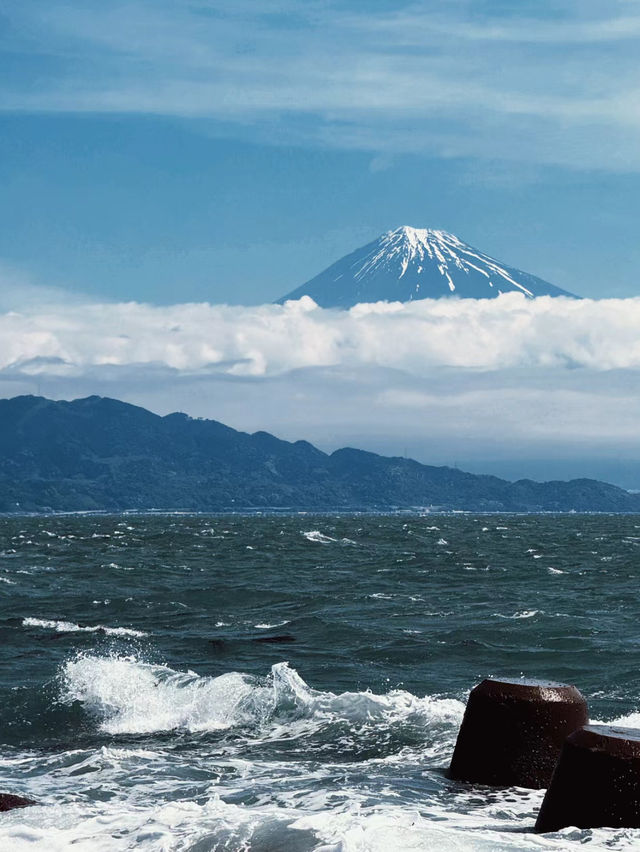 🚢✨ Luxury at Sea: Zhao Shang Yi Dun Cruise to Tokyo 🇯🇵🌊 