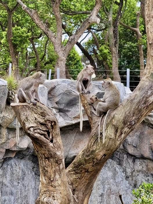 去新竹市立動物園重拾童趣