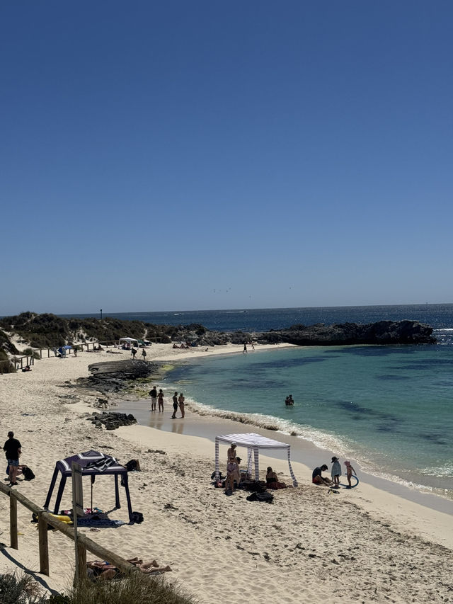 A Day at Pinky Beach, Rottnest Island