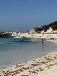 Lost in Summer Paradise of Longreach Bay Guide, Rottnest Island