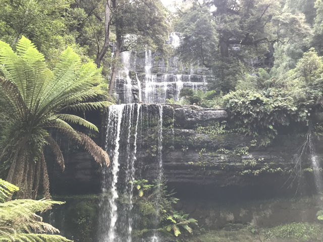 4-Day Tasmania Itinerary: Mountains, Wildlife & Lavender Fields 💜