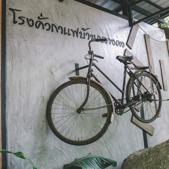 โรงคั่วกาแฟบ้านกลางดง ☕️🤍
