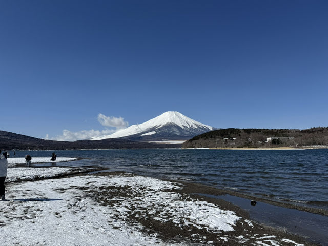 富士山 山中湖伊豆自駕遊之旅