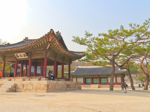 🌸따뜻한 봄에 나들이하기 좋은 곳, 서울 창경궁🏰🌳