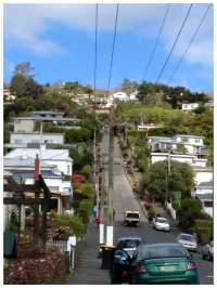【NZ/ダニーデン】世界一急な坂‼︎＊ボルドウィン ストリート Baldwin St. ＊