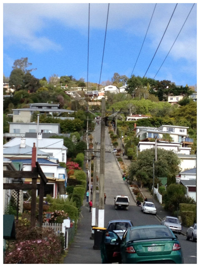 【NZ/ダニーデン】世界一急な坂‼︎＊ボルドウィン ストリート Baldwin St. ＊