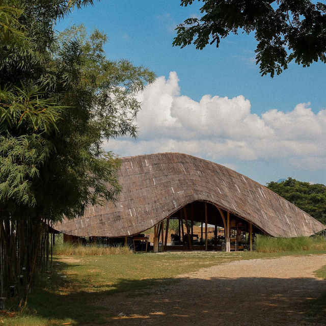 Isbjørn • Chiang Dao, Chiangmai 