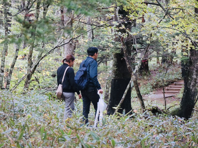 Senjogahara กับใบไม้เปลี่ยนสี ที่ Nikko คือที่สุดด