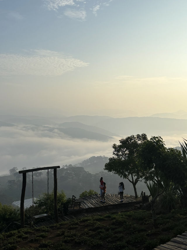 Dreamy Days in Đà Lạt