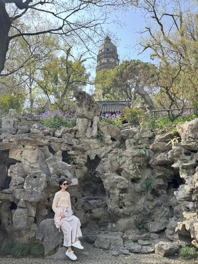 A Morning Lost in Time at Tiger Hill
