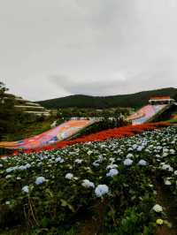 Travel Like A Local: 4D3N @ Da Lat, Vietnam
