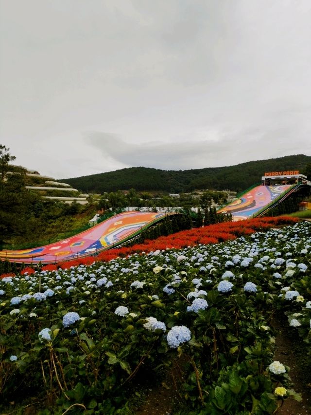 Travel Like A Local: 4D3N @ Da Lat, Vietnam