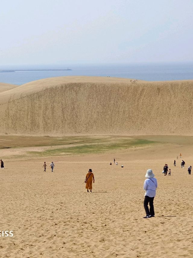 乘JR自由行賞花回憶
