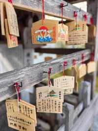二千年多年歷史的阿蘇神社回來了