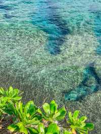 【沖縄】国頭村 沖縄本島最北端へ行ってみよう！
