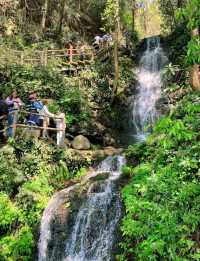 Hangzhou’s Hidden Gem-Nine Creeks and Misty Trees
