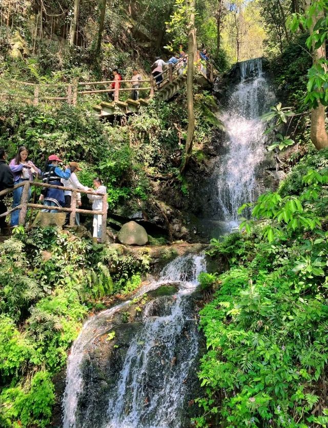 Hangzhou’s Hidden Gem-Nine Creeks and Misty Trees