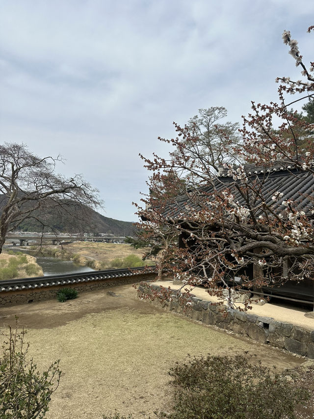 아름다운 자연풍경으로 둘러싸인 ‘밀양 금시당’
