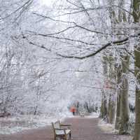 Wandlebury Country Park
