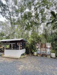 โรตี 789 ร้านโรตีในสวนยาง ที่กงหรา พัทลุง