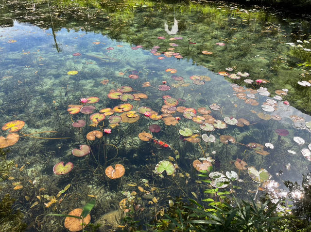  岐阜の美しい自然と温泉を楽しむ、心も体も癒されるスポットを紹介！🌿