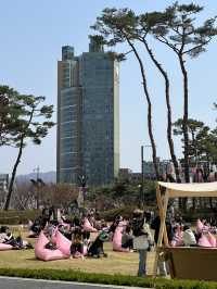 벚꽃 풍경과 야간 라이트업을 보며 🌸산책데이트하기에 좋은 벚꽃여행지🌸