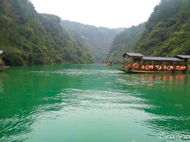 【中国】まるで精霊の住処！「張家界大峡谷」