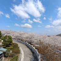 遊四國島香川縣：伊勢朝日山本宮