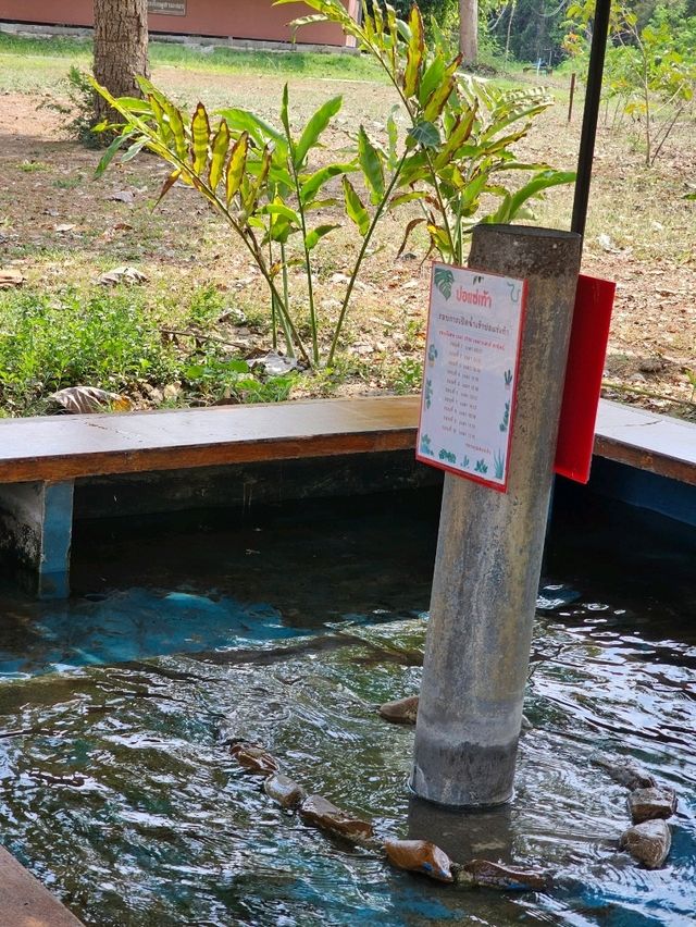 บ่อน้ำพุร้อนโป่งกระทิง | ราชบุรี