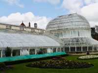 Step Into Spring at the Palm House, Belfast