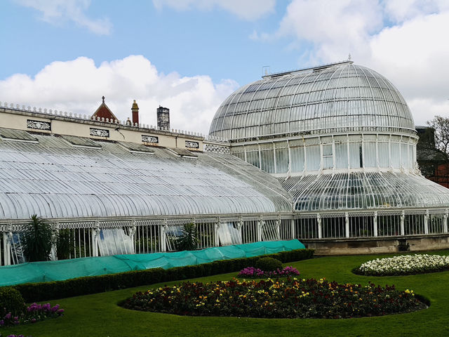 Step Into Spring at the Palm House, Belfast