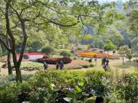  **🌸【廈門園林植物園】花卉園區：歐式花園裡的四季花海，邂逅浪漫與詩意！**  