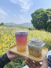 1 Day trip เขาใหญ่  