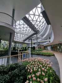 สวนดอกไม้เมืองหนาวระยอง