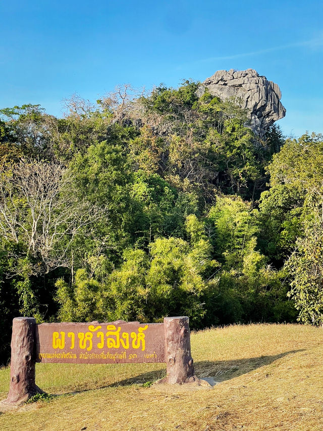 ผาหัวสิงห์: จุดชมวิวสุดอลังการดอยเสมอดาว! ⛰️