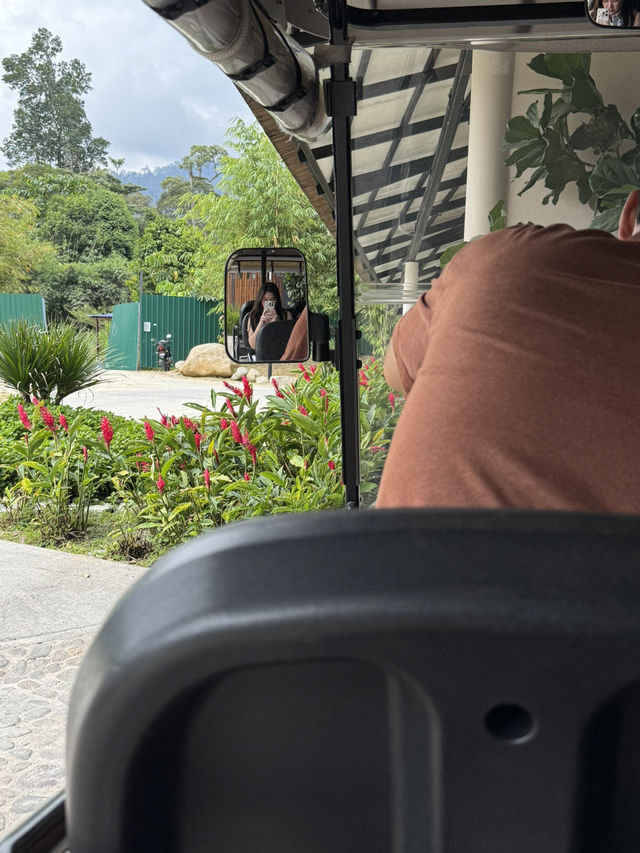 Nice staycation in Janda baik ! 