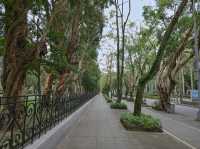 Zhongshan park