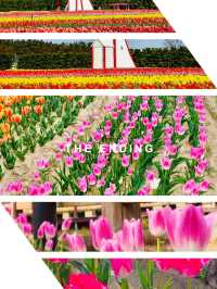 Coastal Blooms and Spring Delights 🌷🚴‍♀️☀️ 