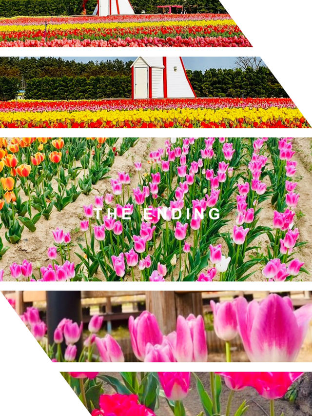 Coastal Blooms and Spring Delights 🌷🚴‍♀️☀️ 