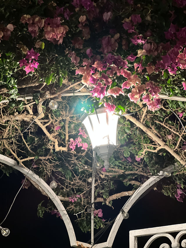 💙 카프리의 밤, 파란 로맨스를 담은 레스토랑에서 ✨🍷