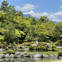 【京都】新緑に空の青さ、曹源池庭園 は素晴らしい