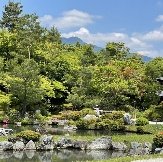 【京都】新緑に空の青さ、曹源池庭園 は素晴らしい