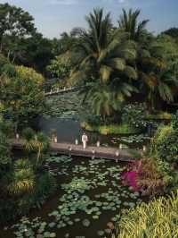 Phuket Escape: Check In at “The White Lotus” Hotel & Become the Main Character