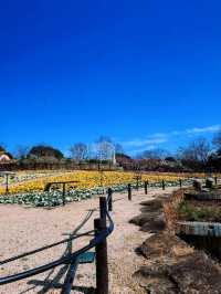 超值的名古屋市東山動植物園