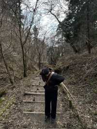 【大阪／金剛山】初心者おすすめの登山