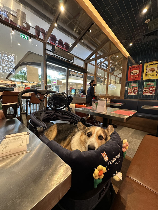 ร้านอาหารpet friendly ในห้าง Central Westville