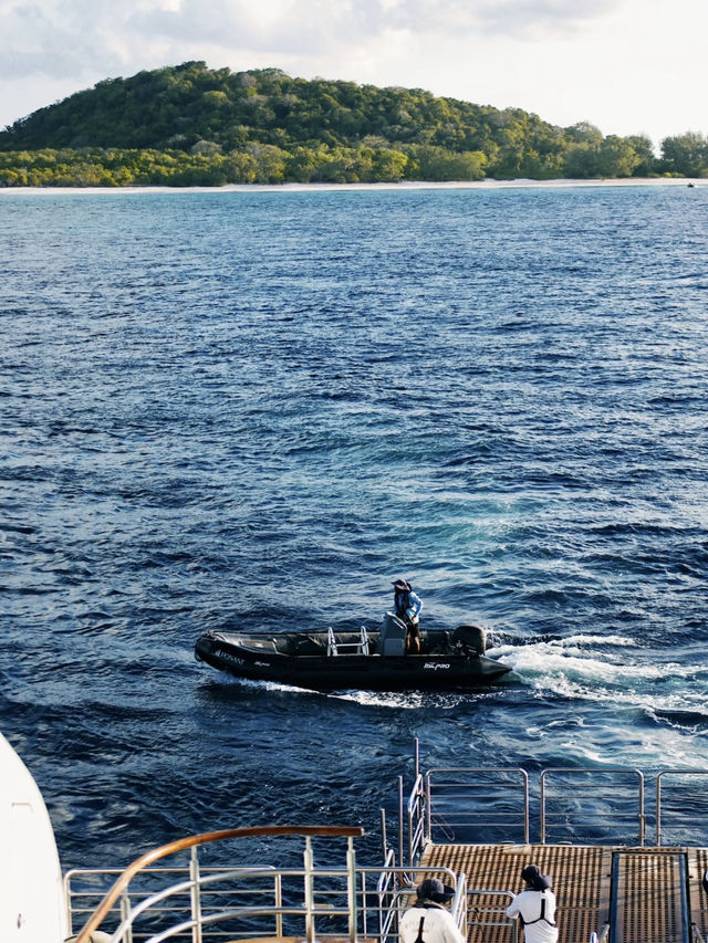 A Dream Cruise on the Ponant Jacques Cartier! 🚢✨