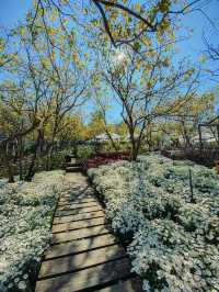 Persimmon Cafe in Dalat