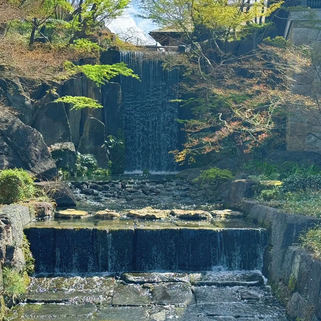 百道中央公園｜城市中的綠洲