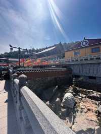 Spring Magic at Korea’s Most Beautiful Seaside Temple 